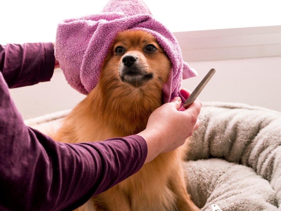Dog being groomed, shown on the Paws & Suds scheduling app